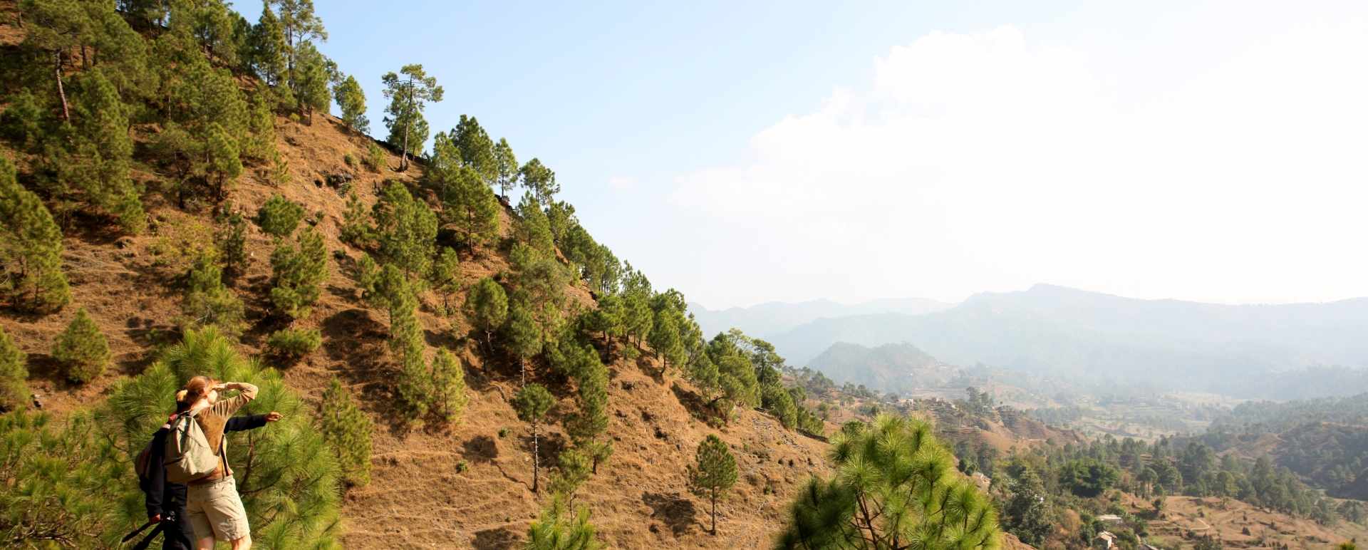 Remote Landscapes 