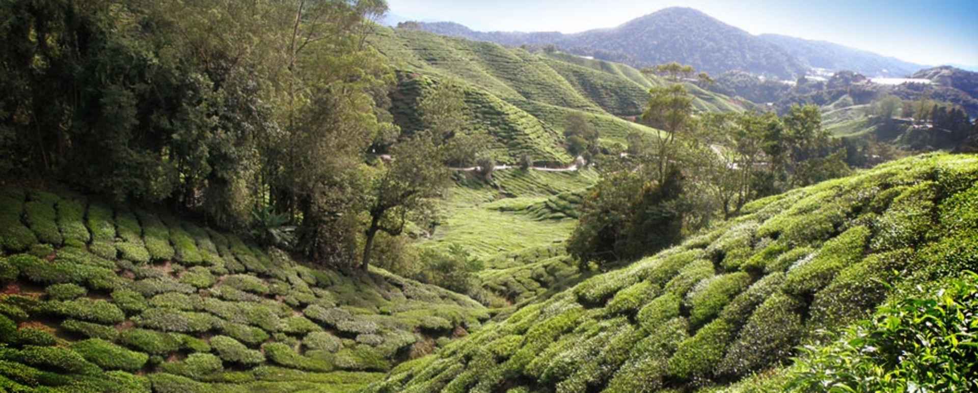 Darjeeling