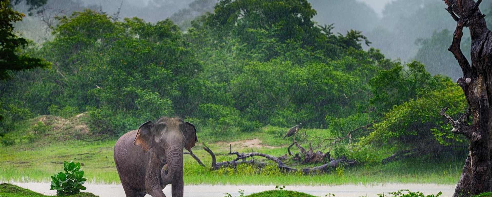 Gal Oya National Park