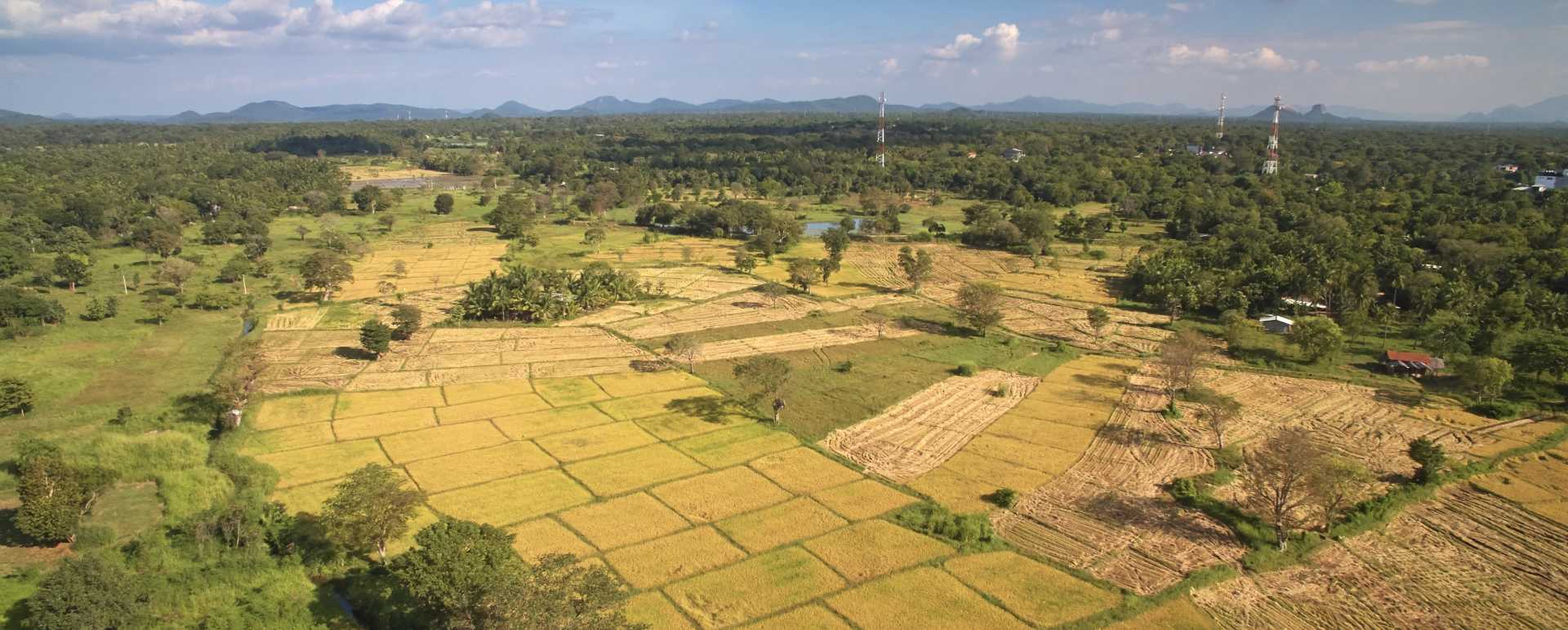 Habarana
