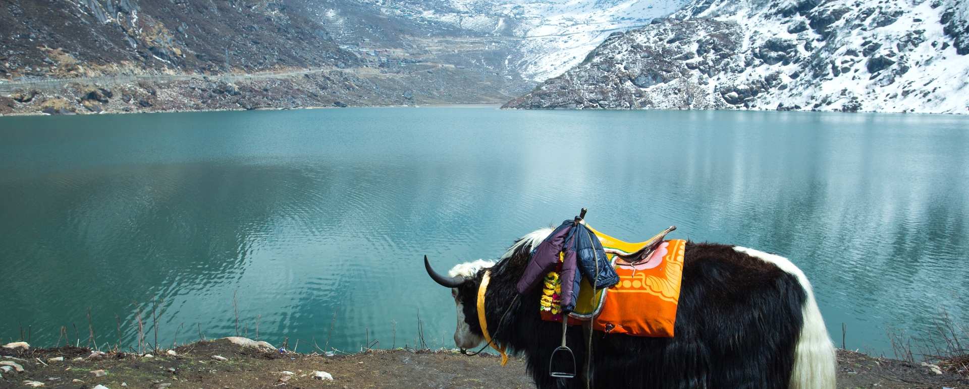 Sikkim