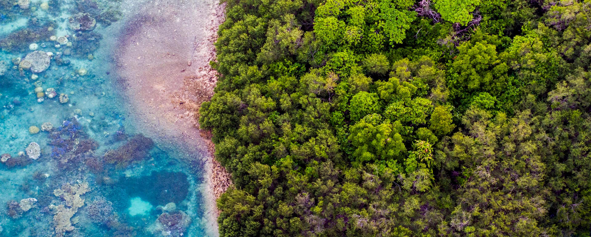 Aerial View - Bawah Island