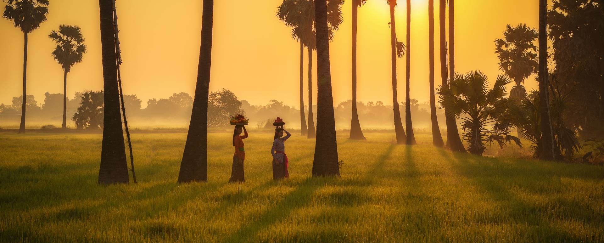 Java and Bali 