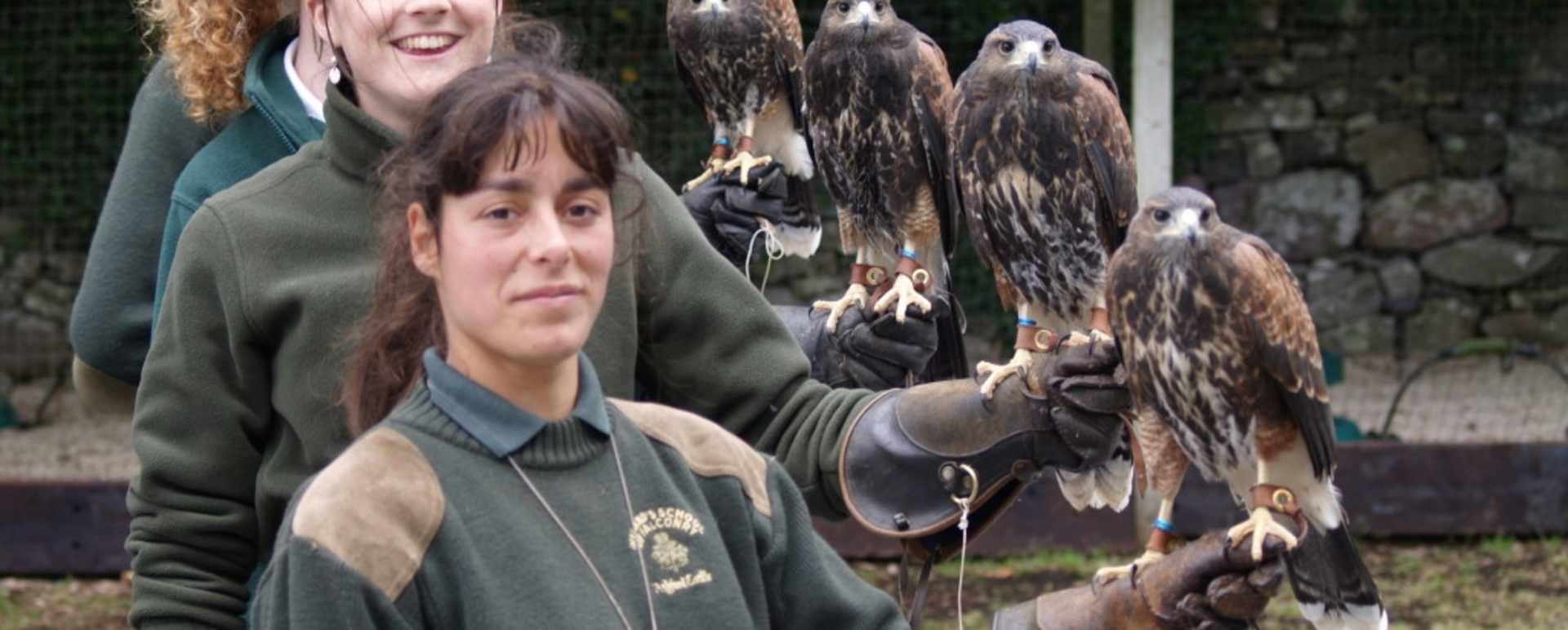Falconry - Ashford Castle 