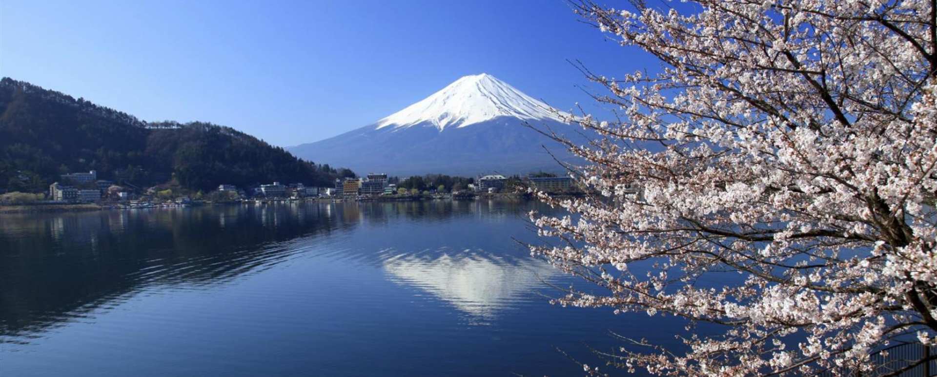 Full Day Hakone National Park Tour