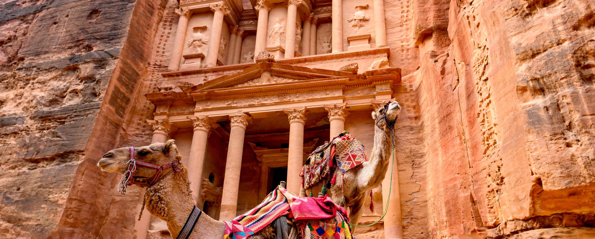 Petra Red Rose City