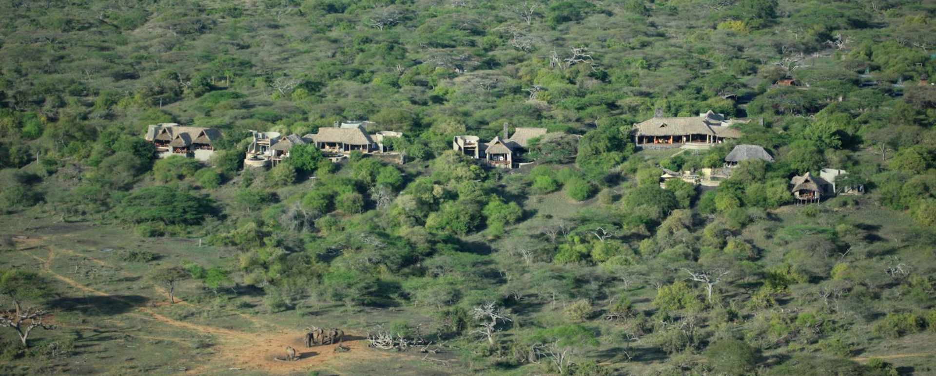 Zebra - Ol Donyo Lodge
