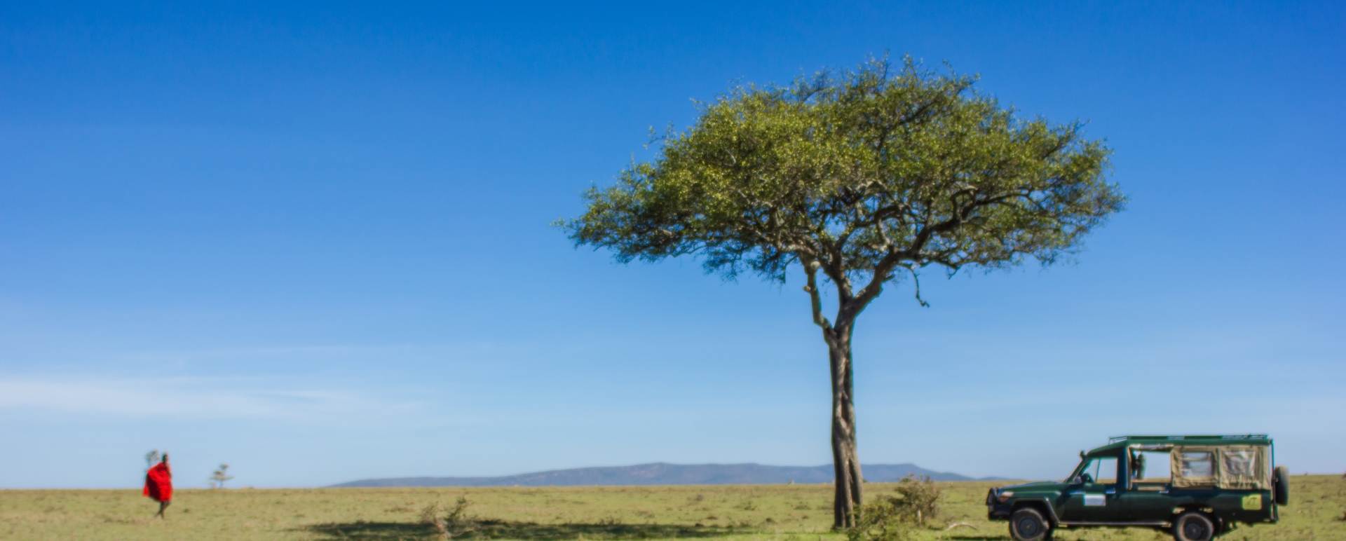 Game drive in Mara