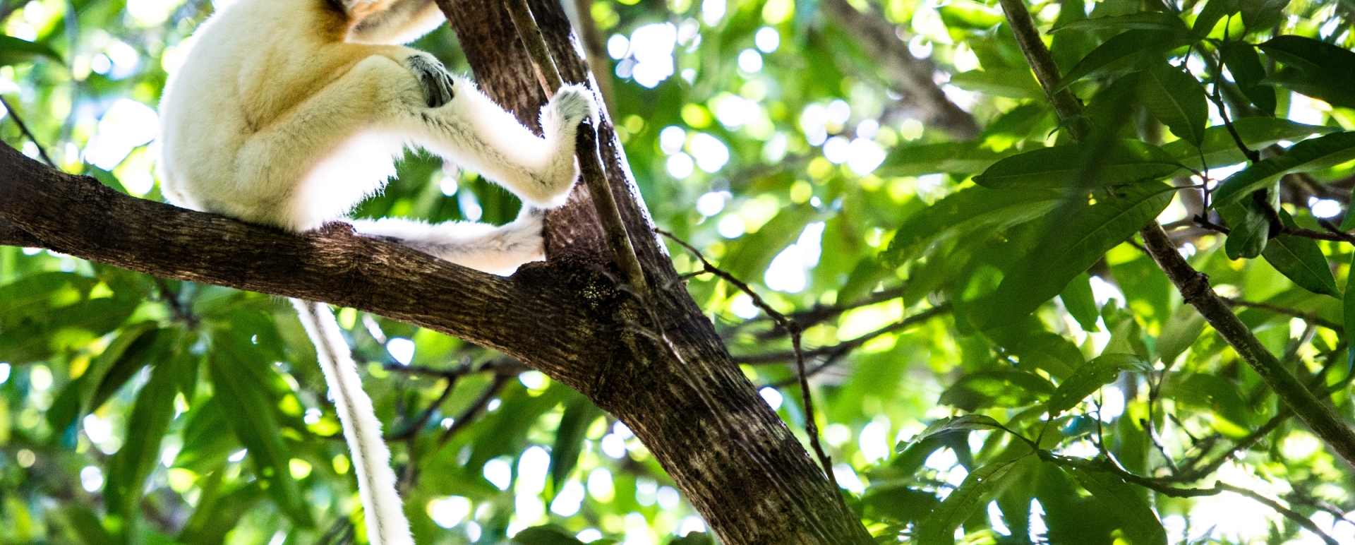 Northern Madagascar 