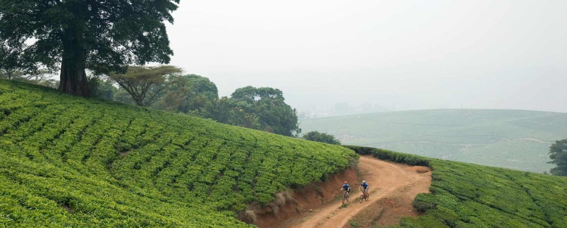 Mountain biking - Huntingdon House 