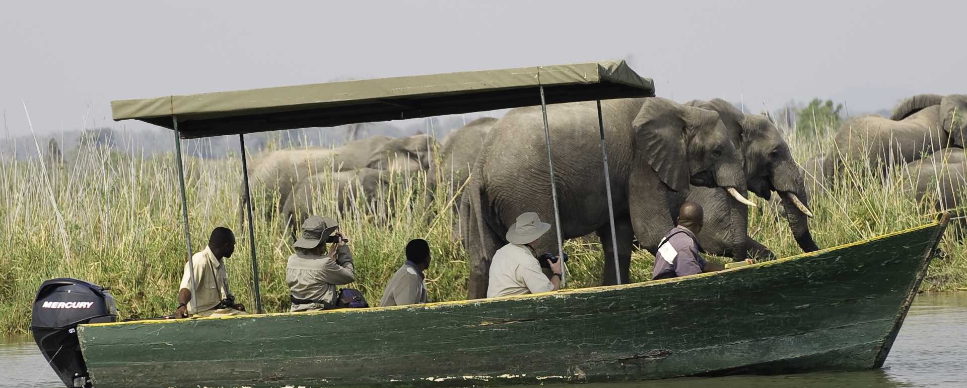Boating safari 
