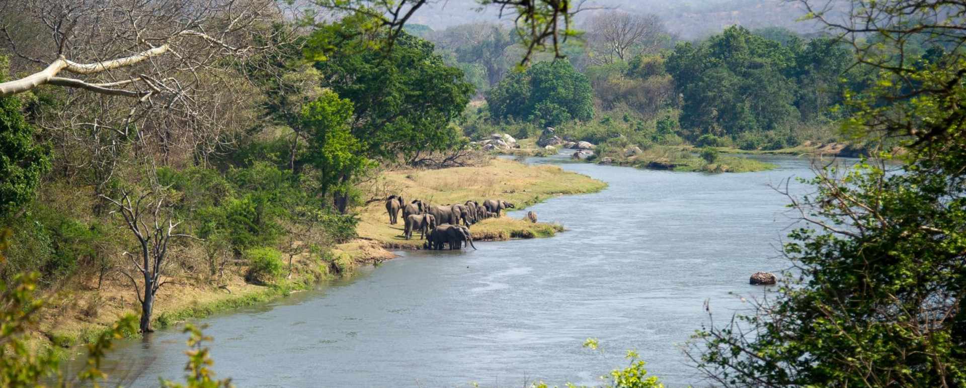 Elephants drinking - Malawi Safari and Lake 