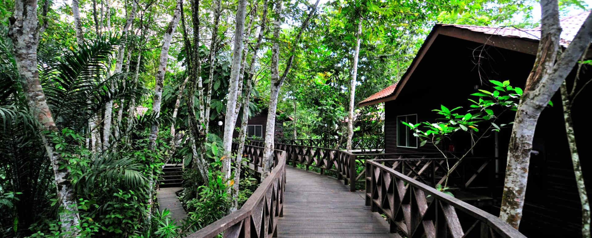 Chalet path - Kinabatangan Riverside Lodge