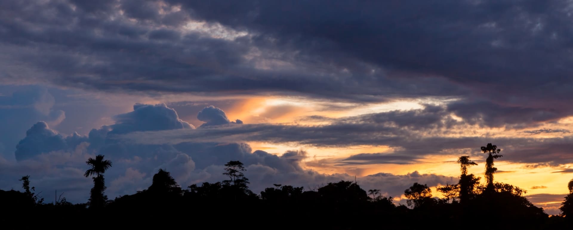 Tabin Dusk Drive