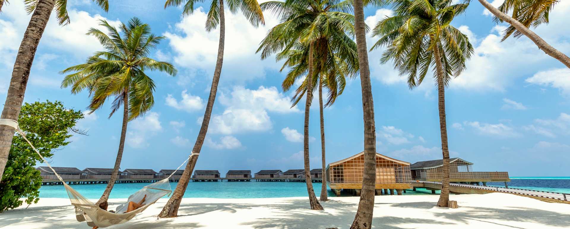 Palms and beach 