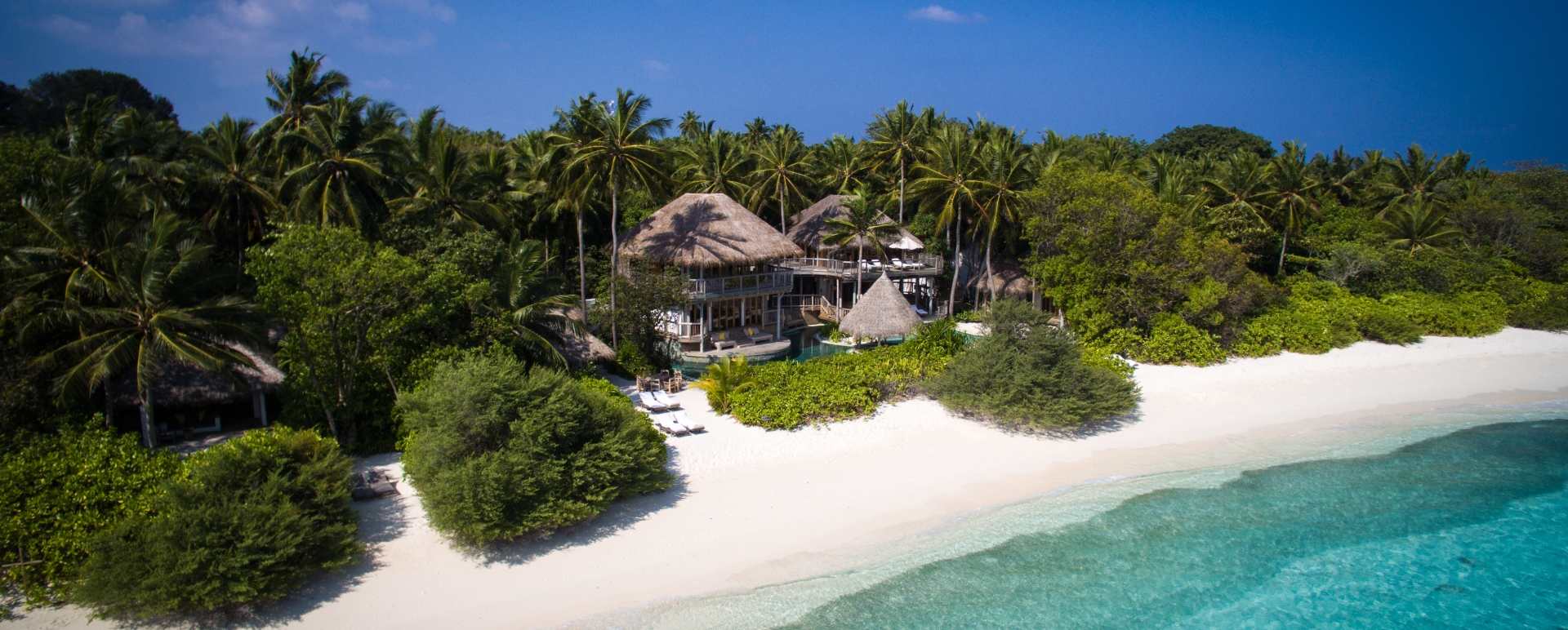 Jungle Reserve 