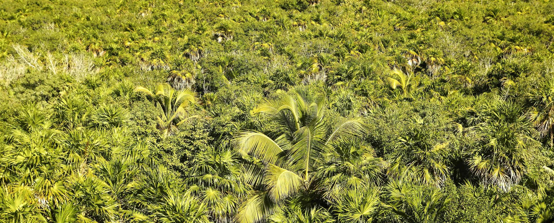 Sian Kaan Biosphere Reserve