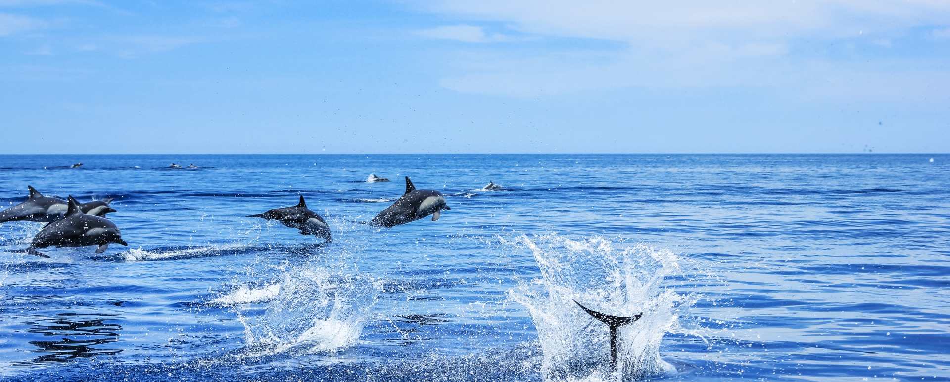 Baja California 