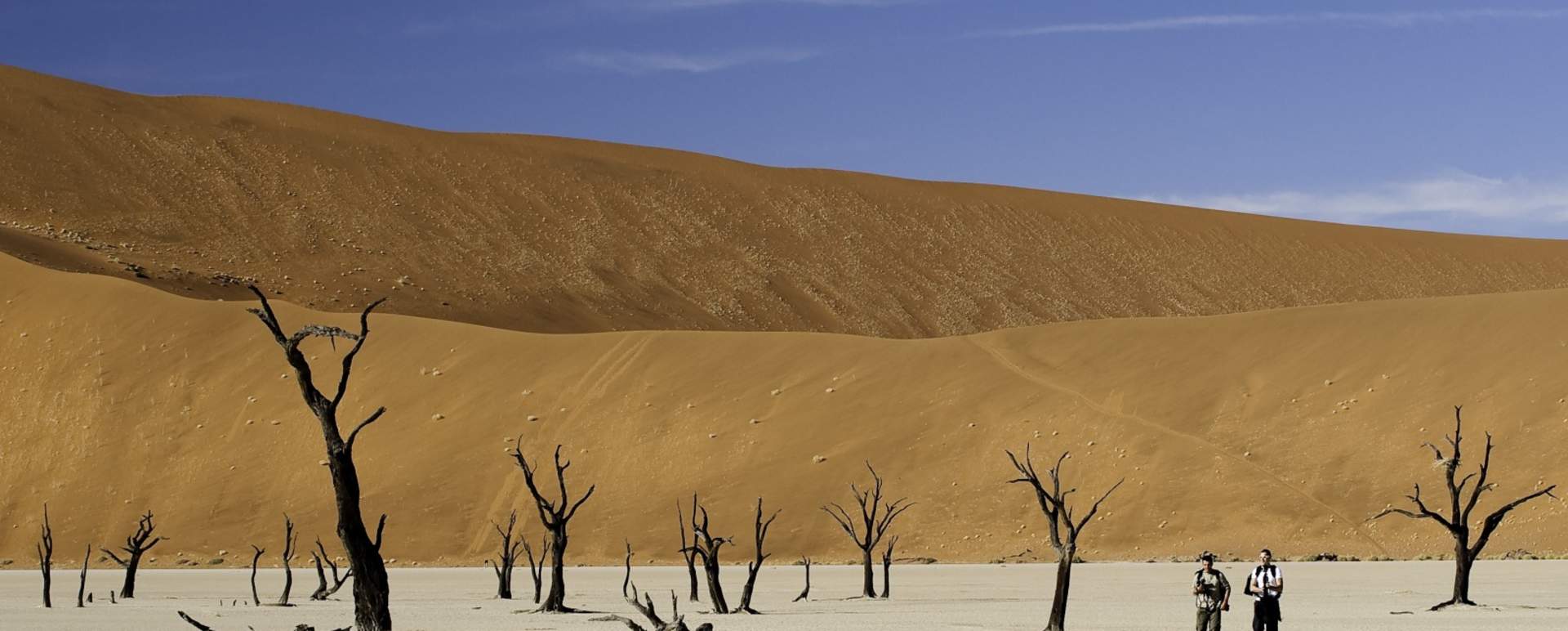 Dead Vlei - Kulala Desert Lodge