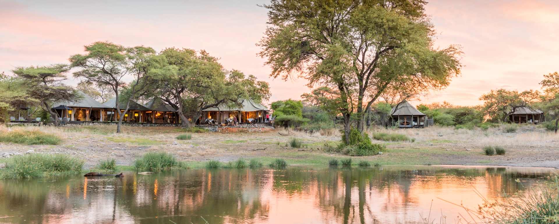 Watering hole - Onguma Tented Camp