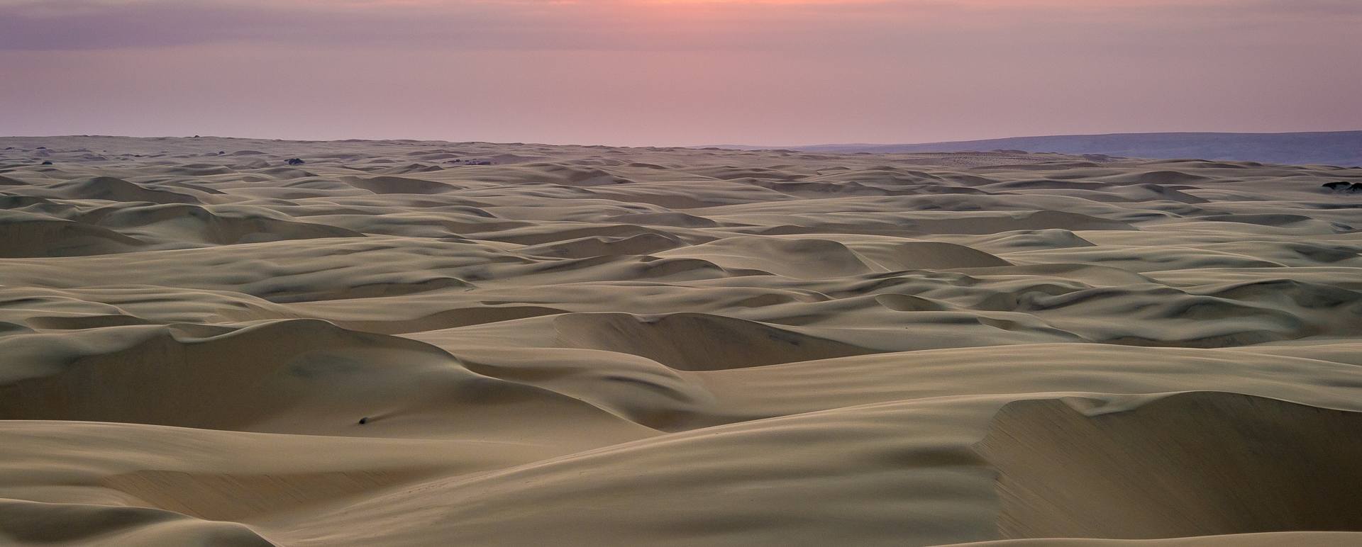 Desert landscapes - 