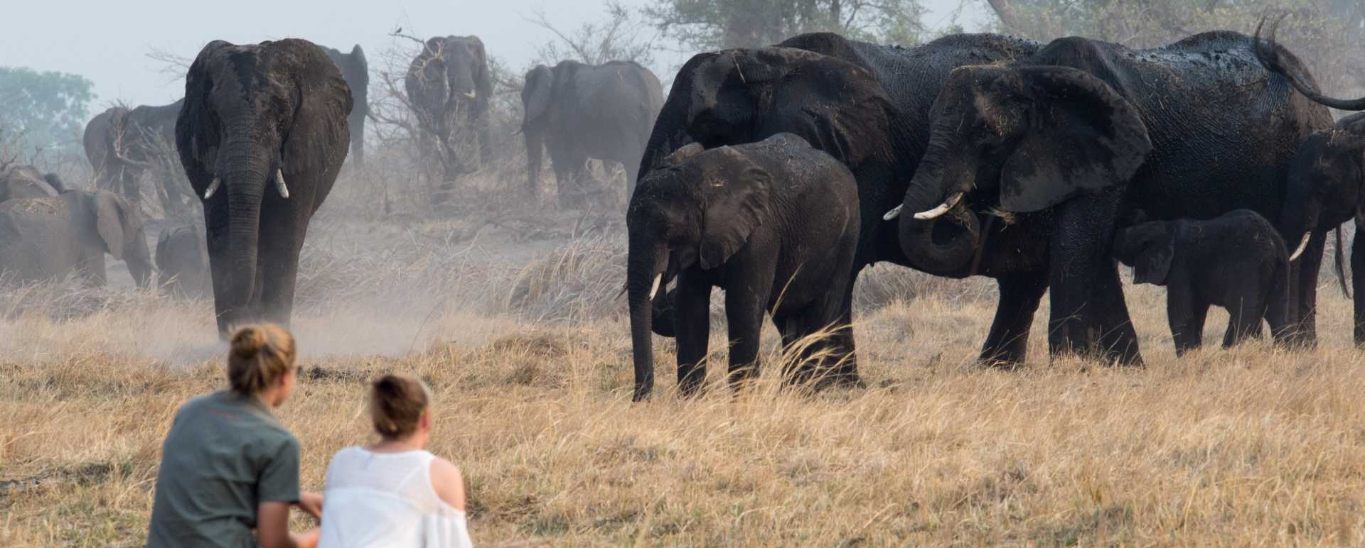 Walking safari in the Caprivi 