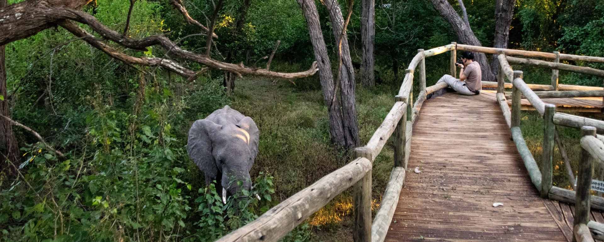 Sightings from the camp 