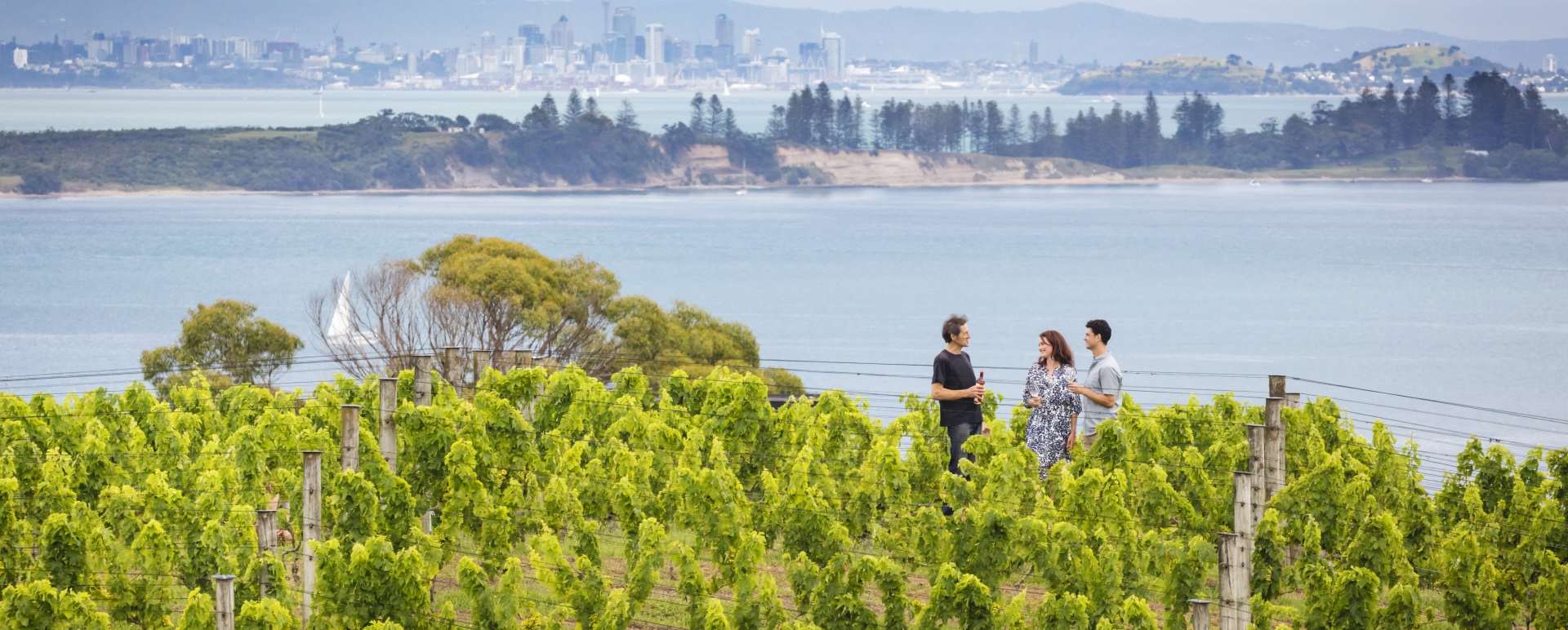 Exclusive Gourmet Food and Wine on Waiheke Shared