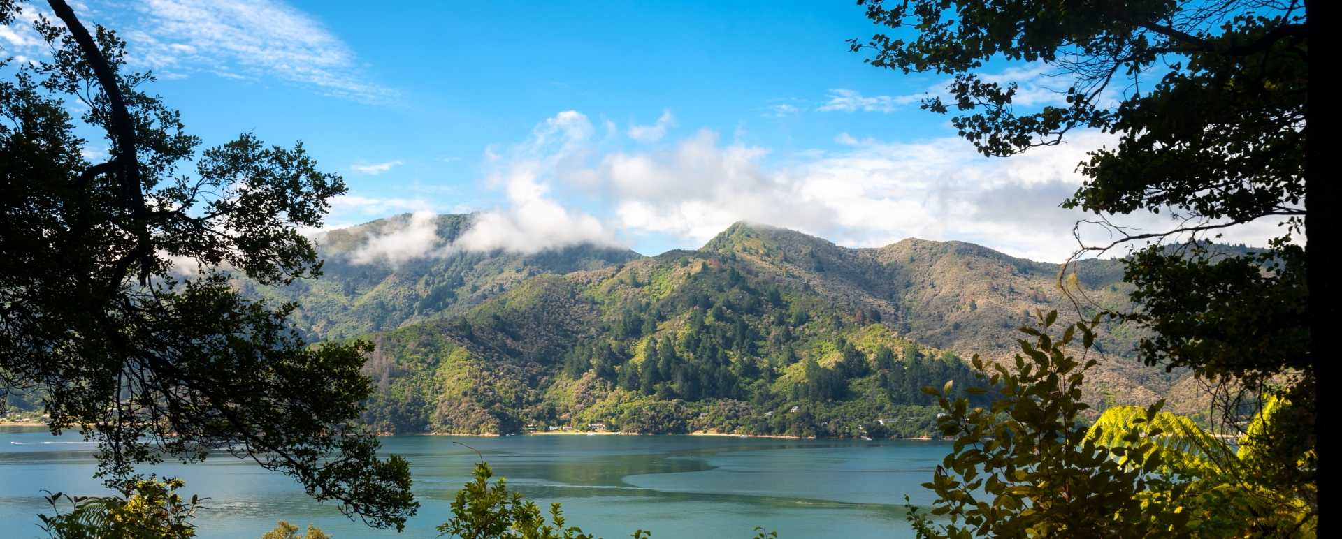 Marlborough Sounds Half Day Cruise
