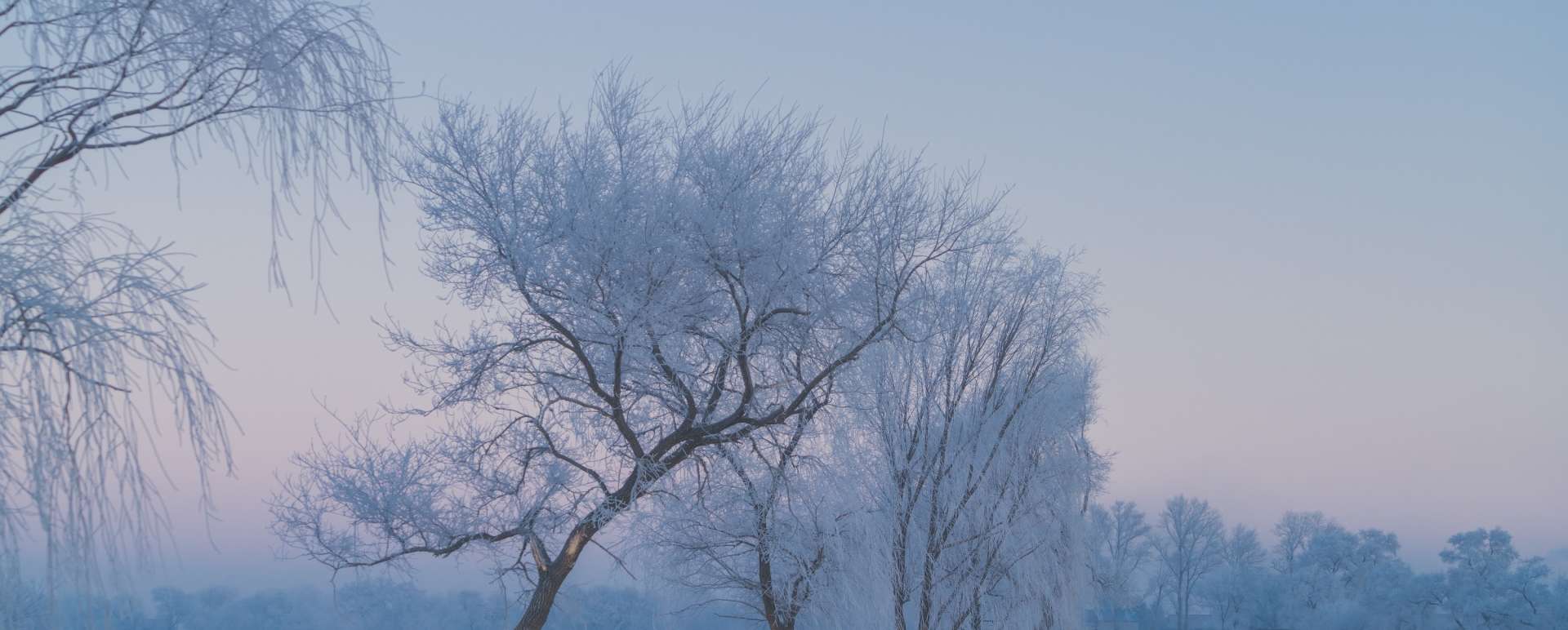 Jilin