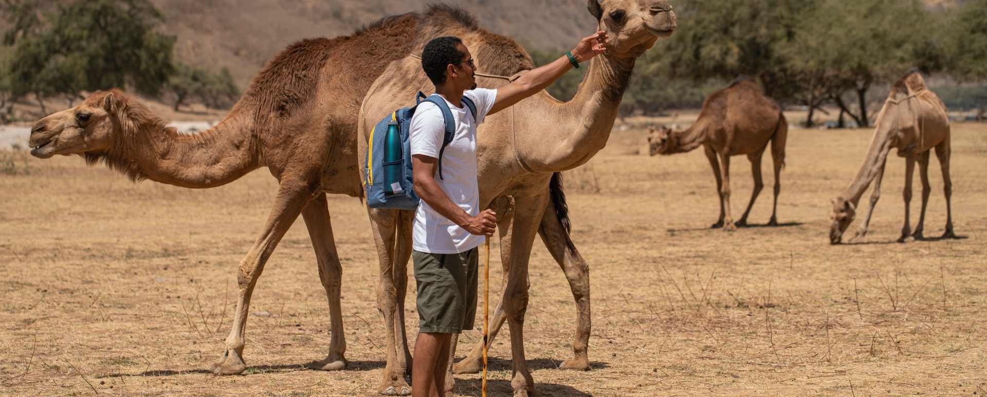 Camel-Experience 