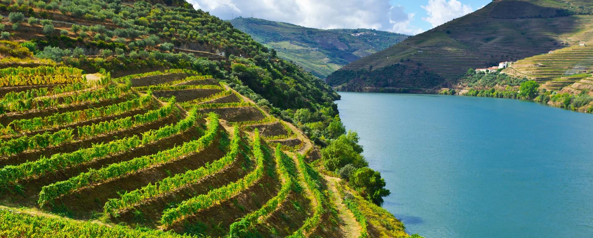 Douro Valley - Ultimate Portugal