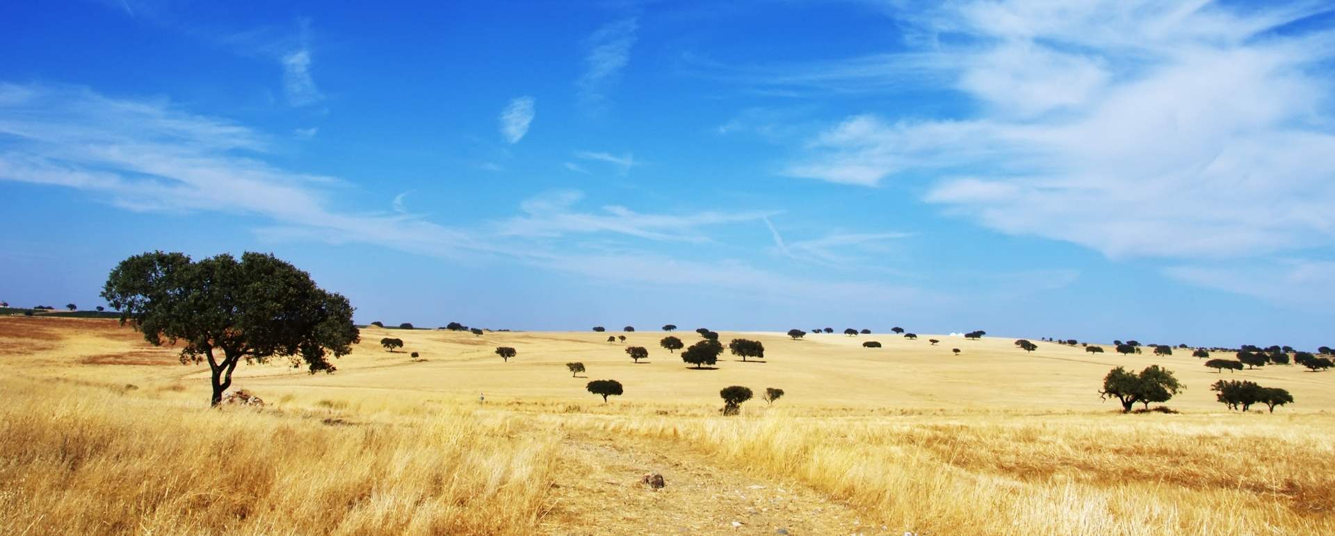Alentejo - Discover Alentejo and Andalucia