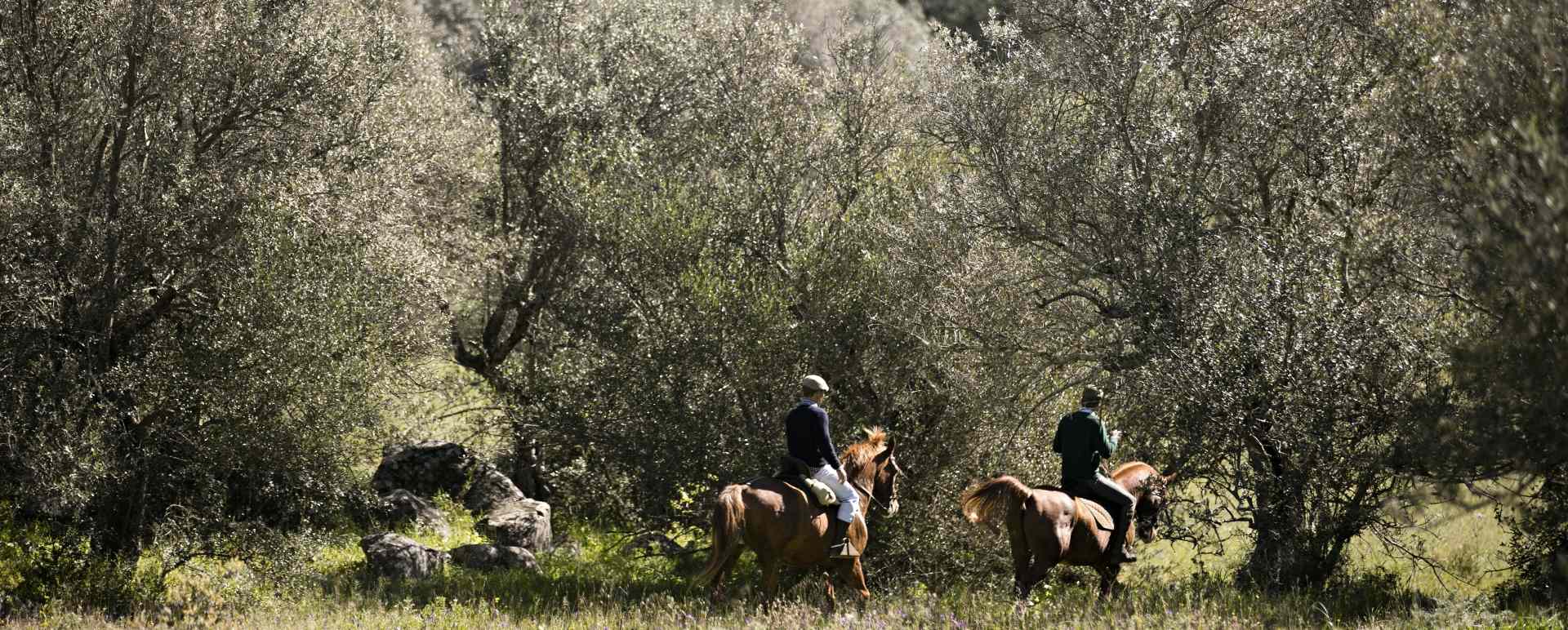 Horse riding - Discover Alentejo and Andalucia
