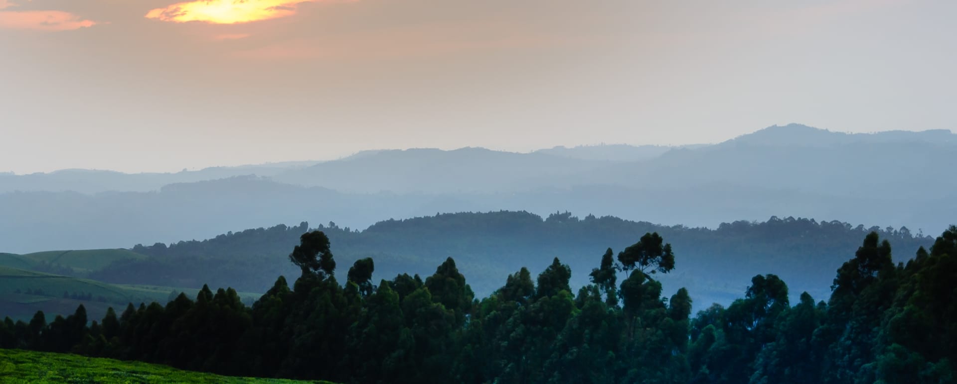 Nyungwe Forest - Highlights of Rwanda