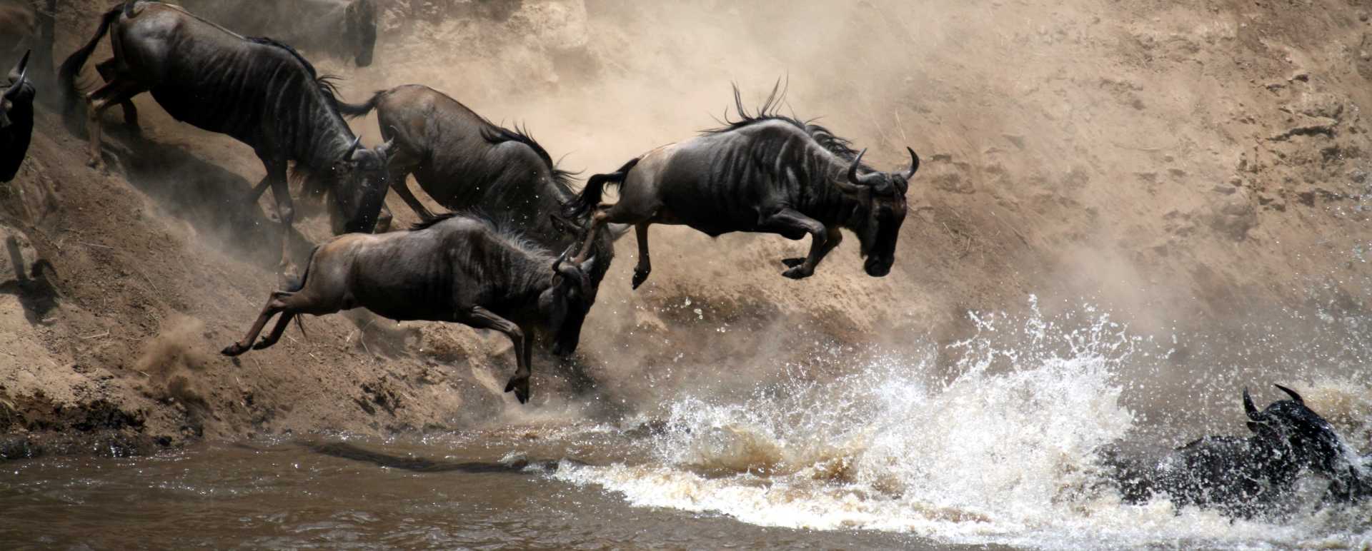 Serengeti - Rwanda and Tanzania in Ultimate Luxury