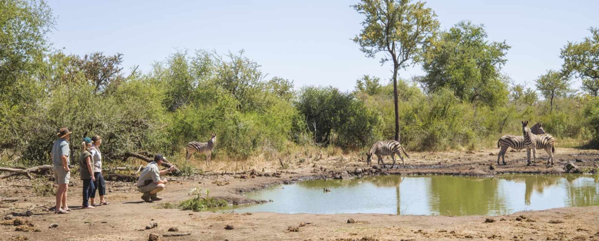 Game Drives Bush Walks