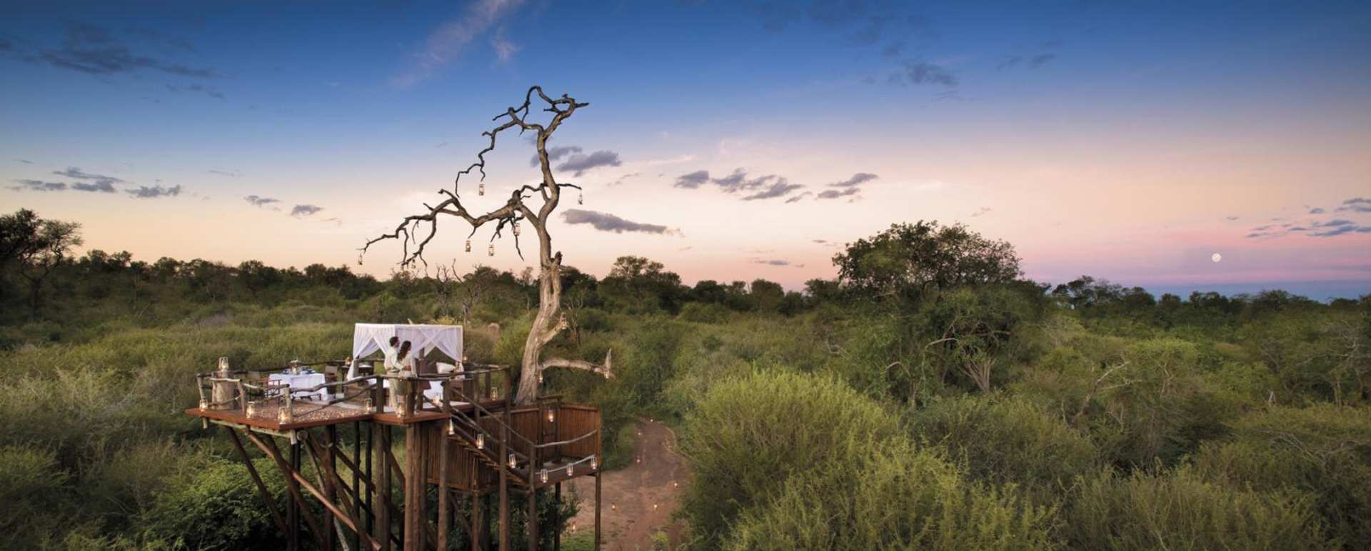 Spend a night in a Treehouse