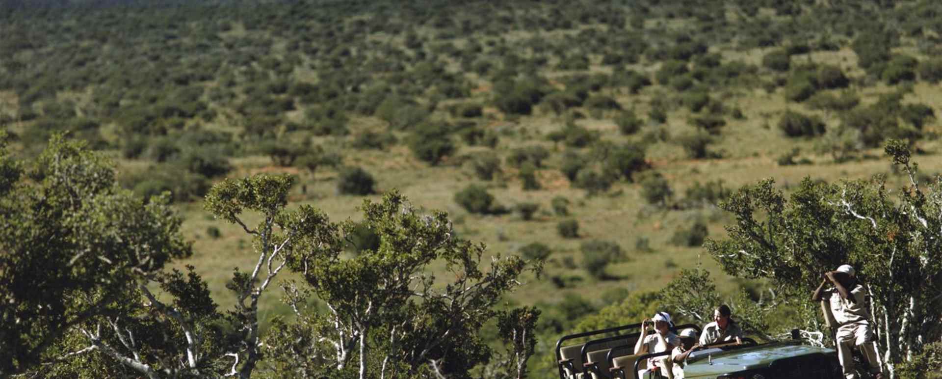 Twice Daily Game Drives