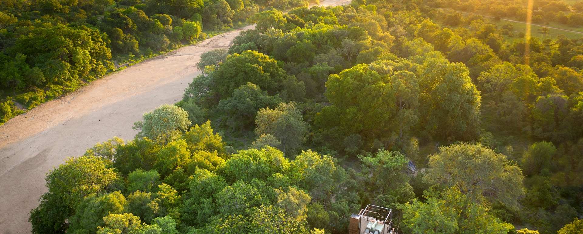Tree house Timbavati 