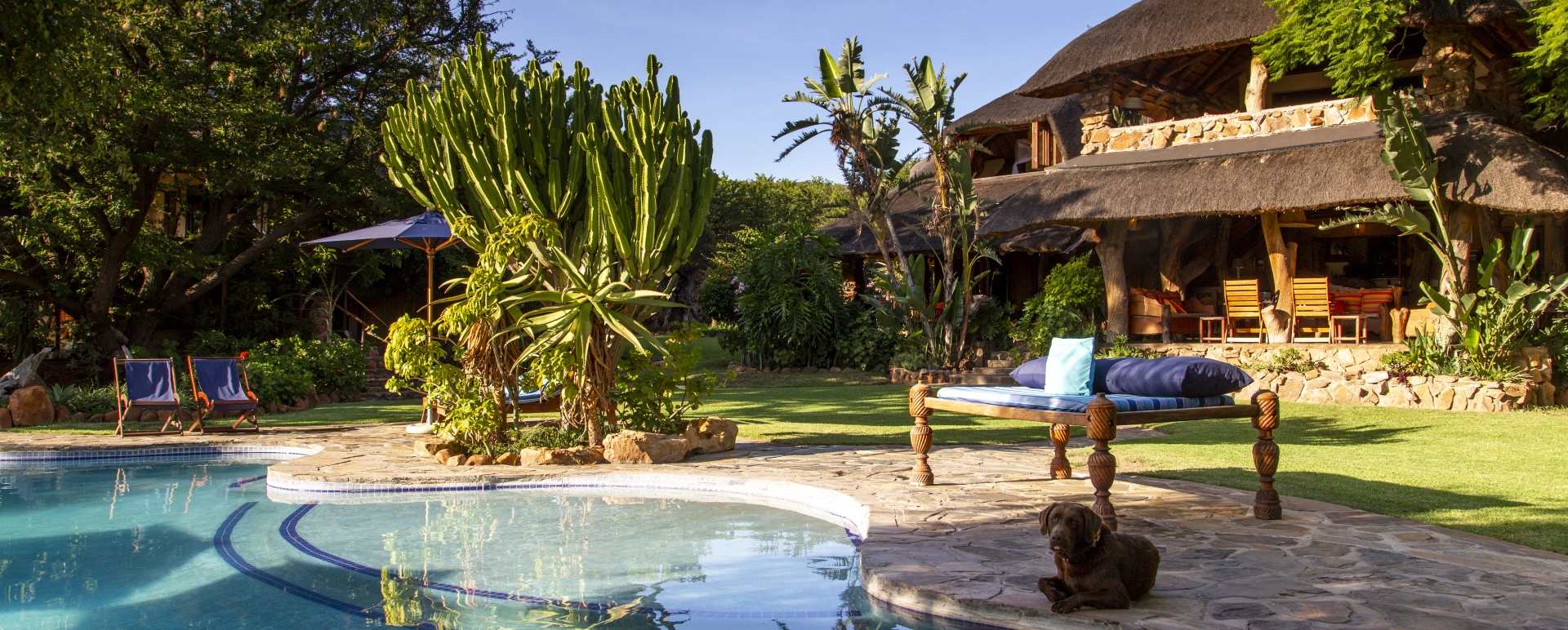 Pool at Ants Nest 