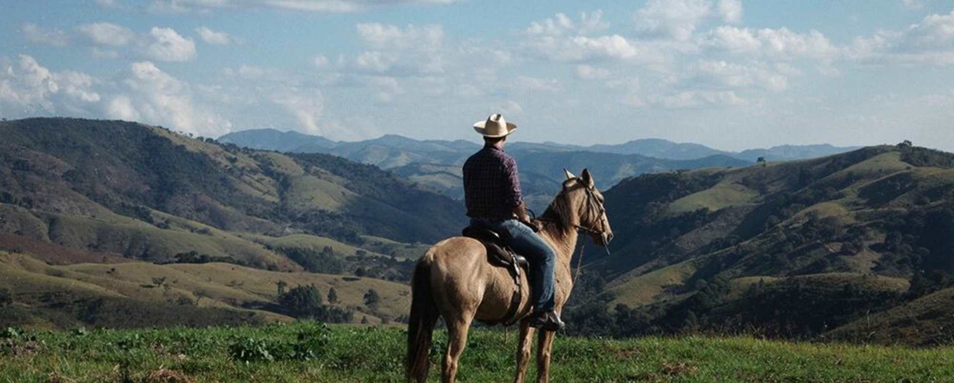 Catucaba