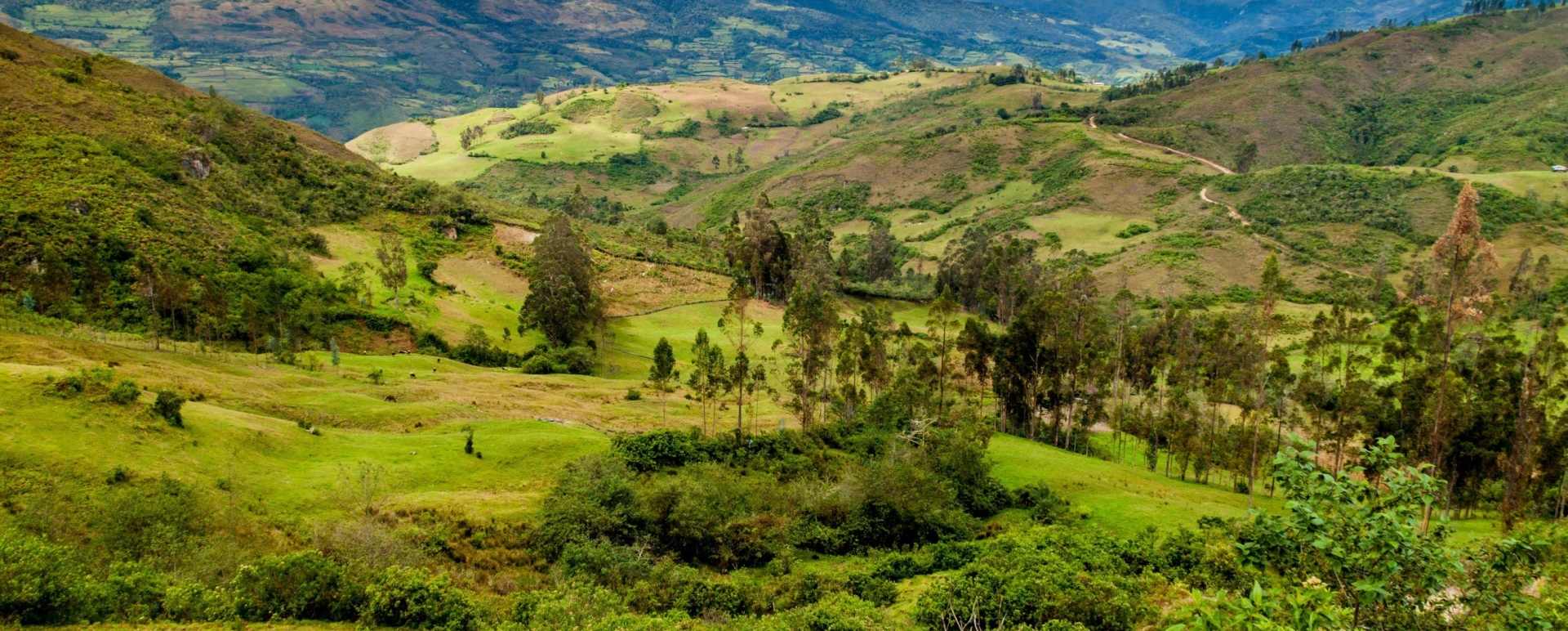 Leymebamba