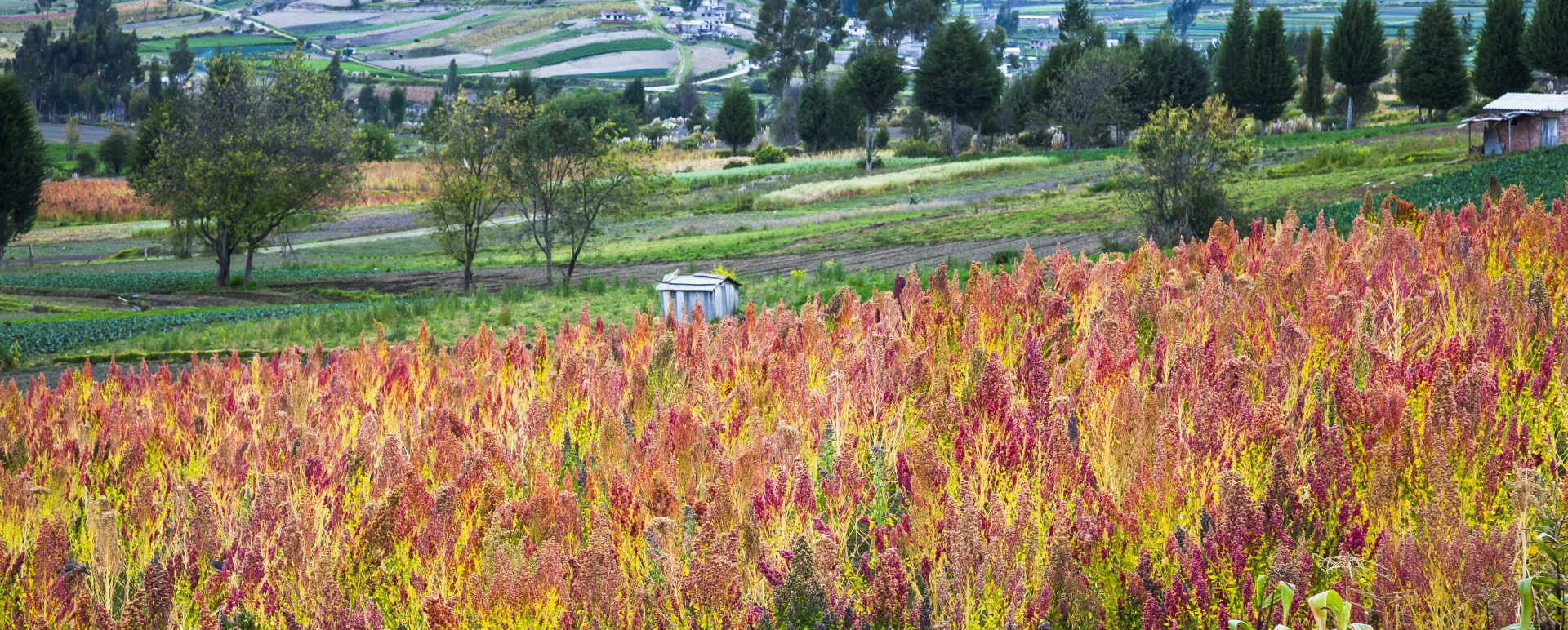 Riobamba