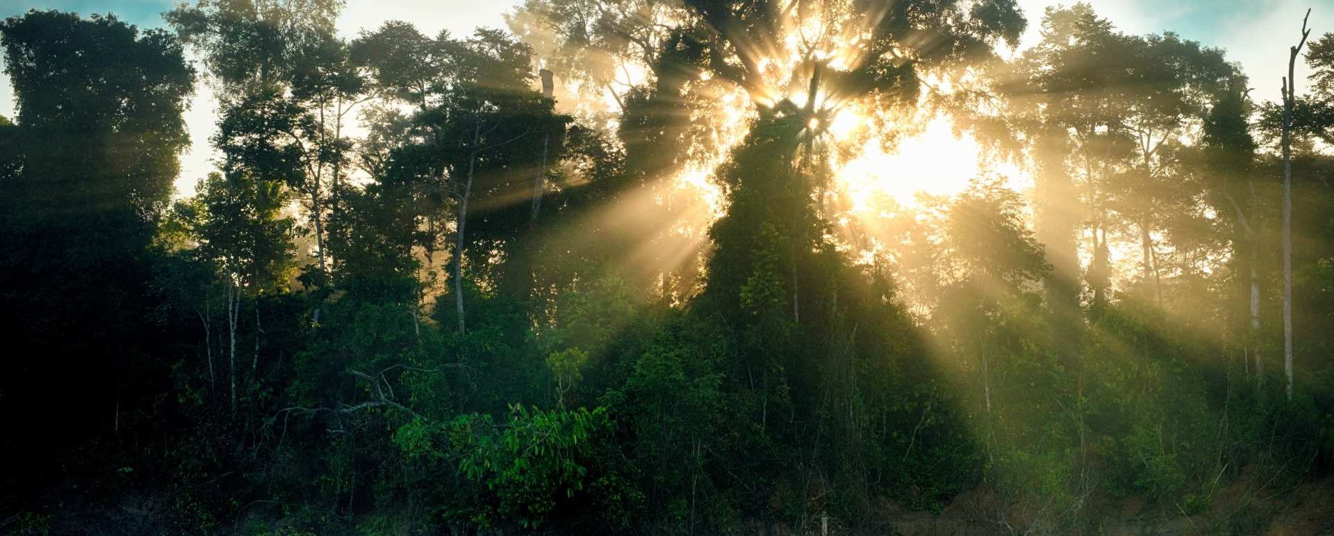 Kinabatangan River