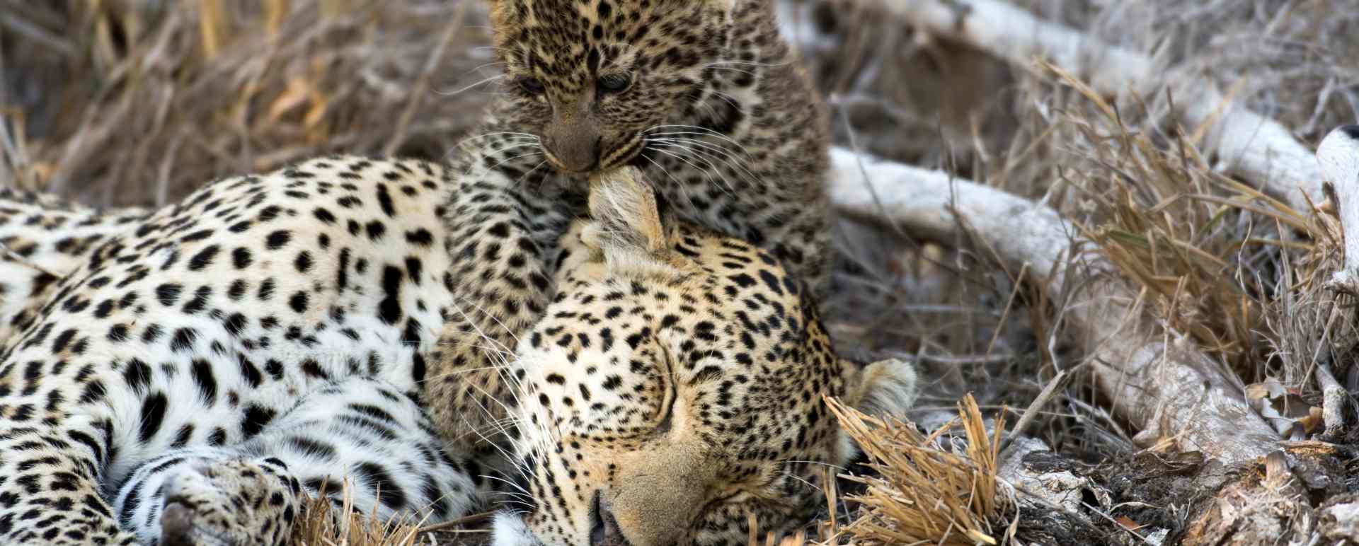 Kruger National Park