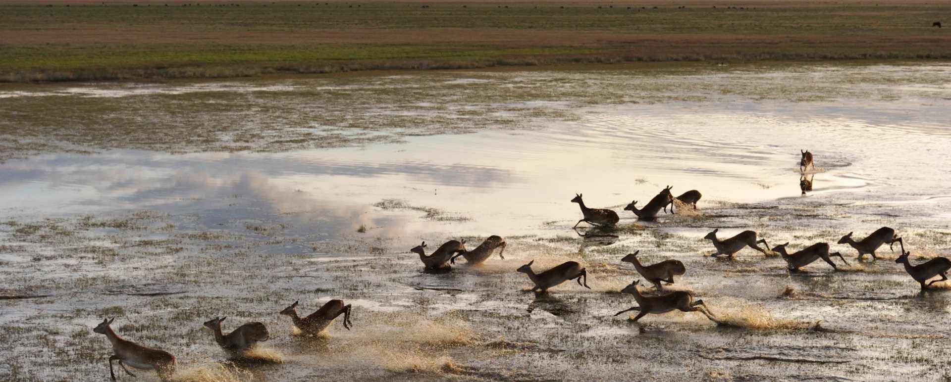Liuwa Plain National Park