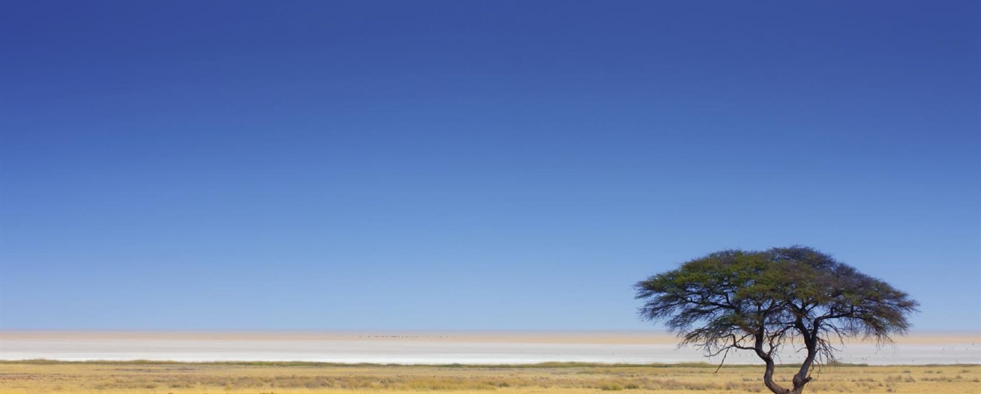 Ongava Private Game Reserve