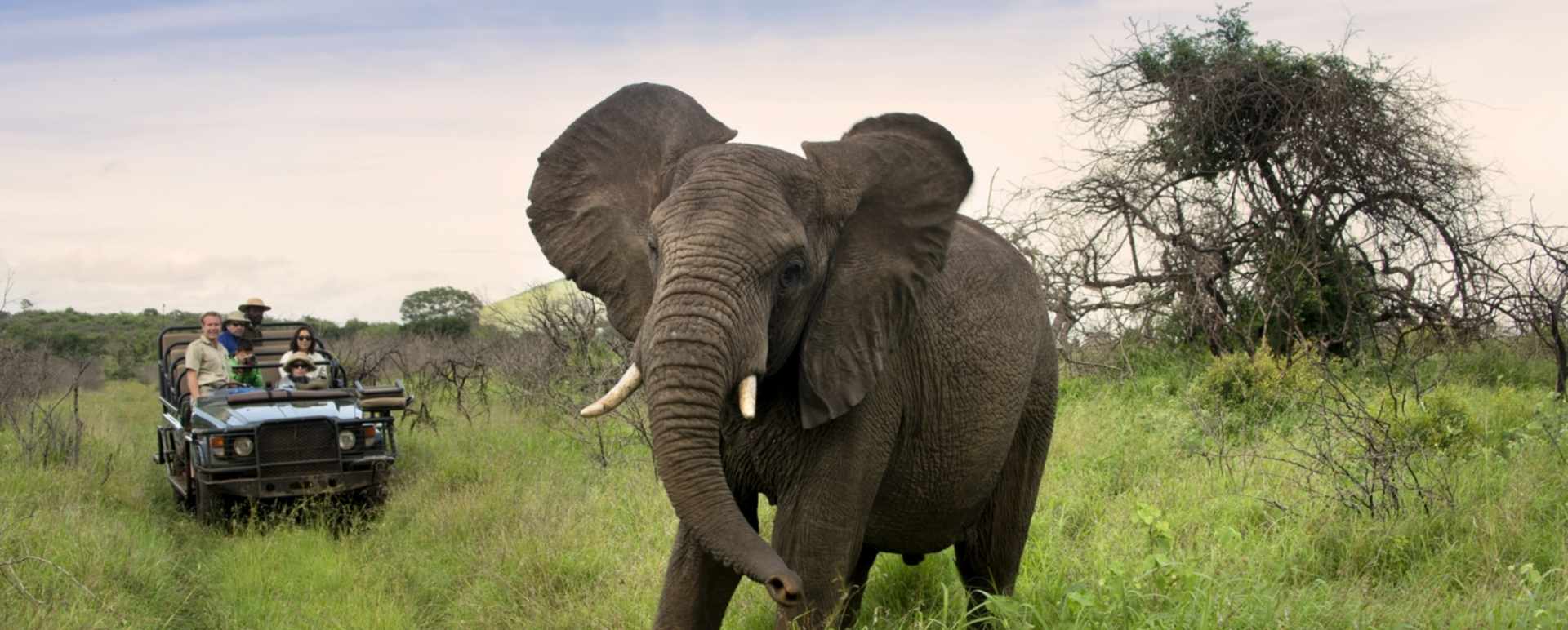 Phinda Private Game Reserve