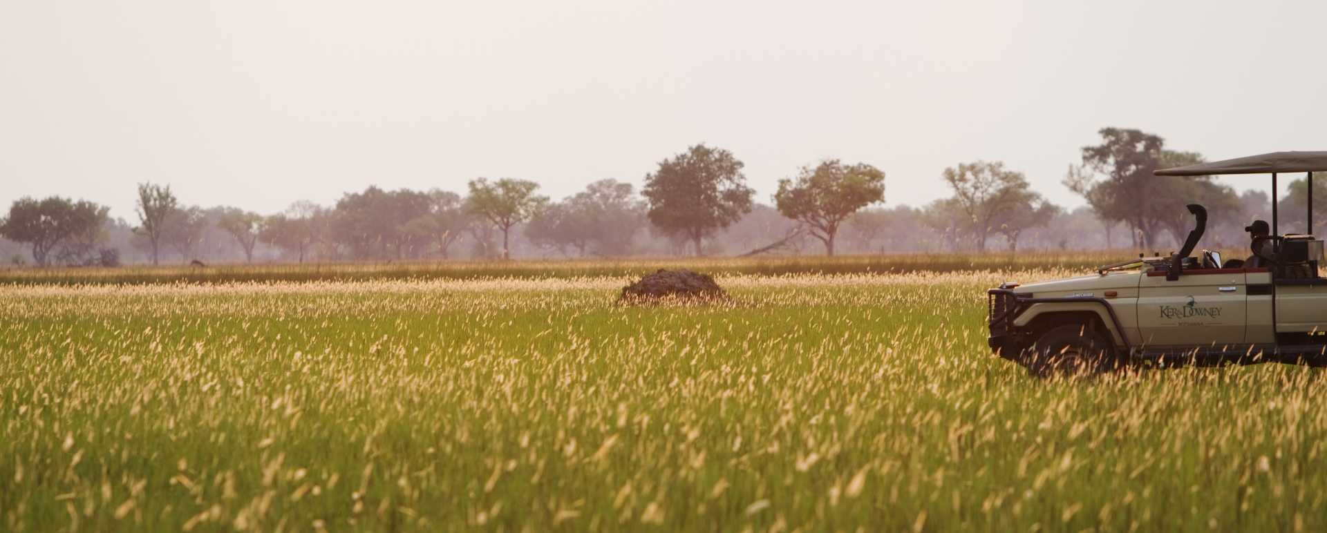 Shinde Concession